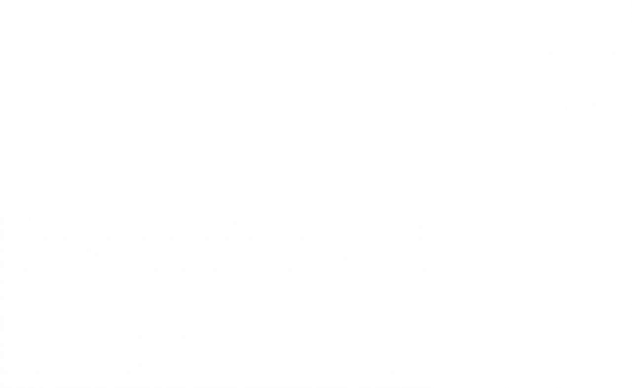 Registro Anual